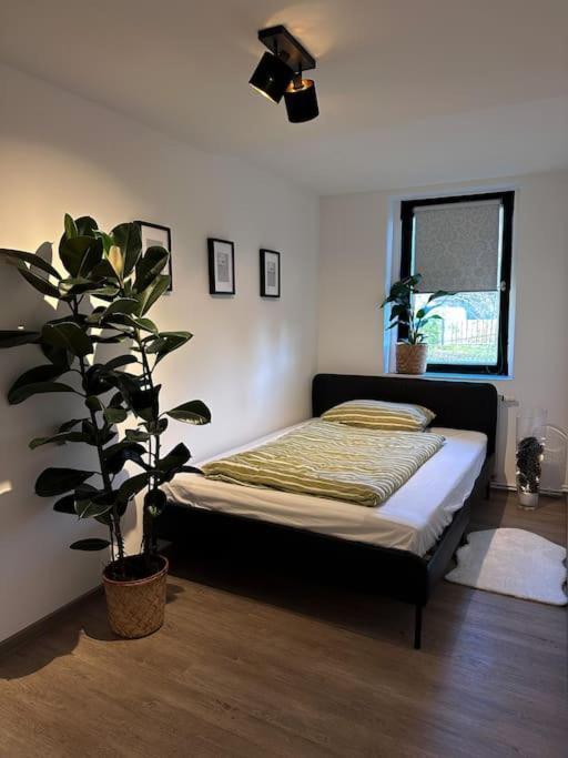 Urban Apartments Weimarer Land Buttelstedt Bagian luar foto
